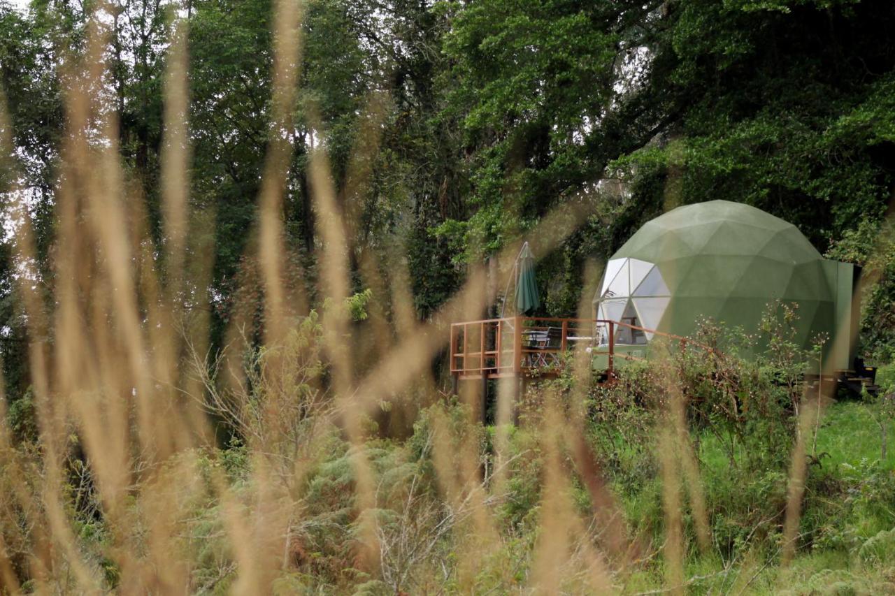 Glamping Cúspide Bed and Breakfast Choachí Eksteriør billede