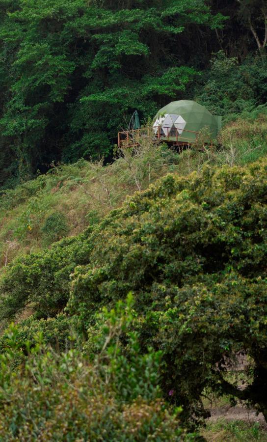 Glamping Cúspide Bed and Breakfast Choachí Eksteriør billede