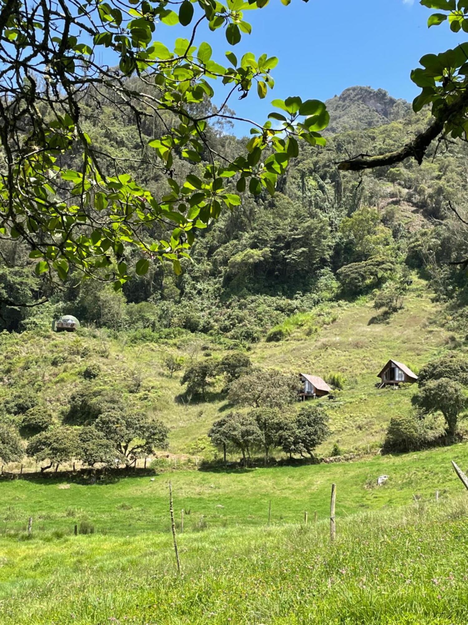 Glamping Cúspide Bed and Breakfast Choachí Eksteriør billede